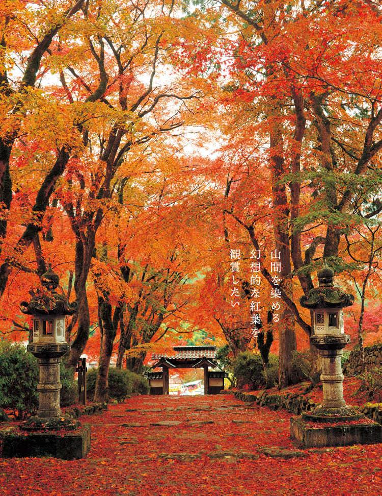 高源寺の紅葉