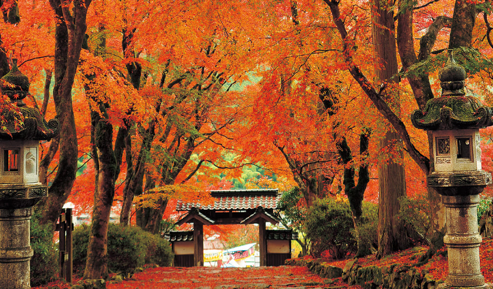 高源寺の紅葉