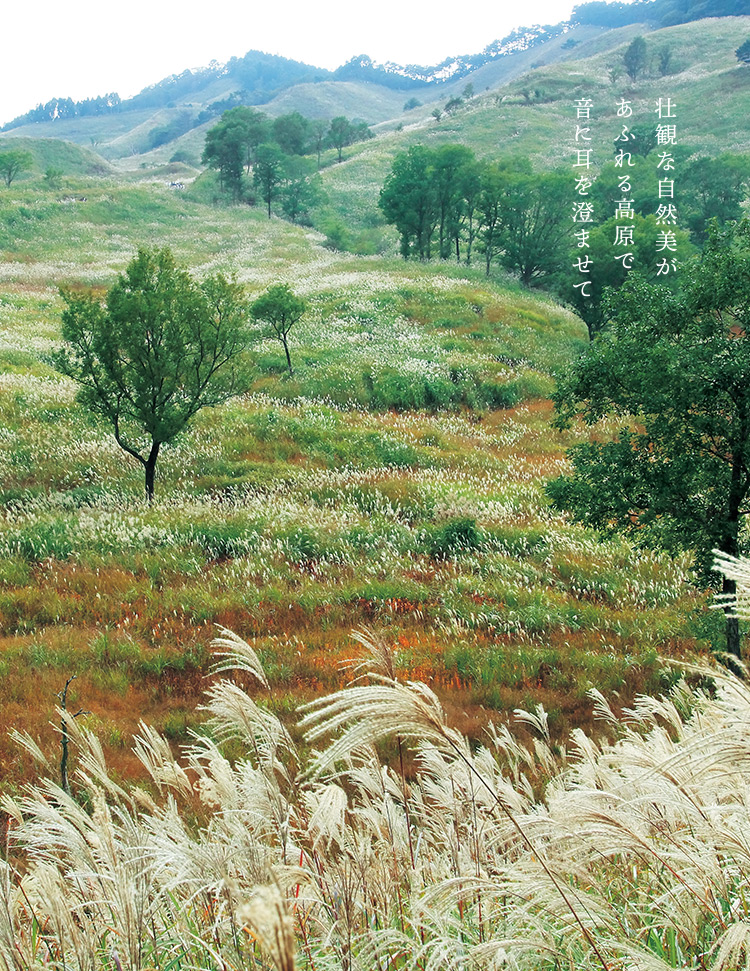 砥峰高原