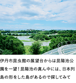 伊丹市昆虫館の展望台からは昆陽池公園を一望！昆陽池の真ん中には、日本列島の形をした島があるので探してみて