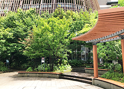 伊丹市昆虫館の展望台からは昆陽池公園を一望!昆陽池の真ん中には、日本列島の形をした島があるので探してみて