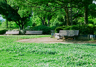 昆陽池を囲む公園