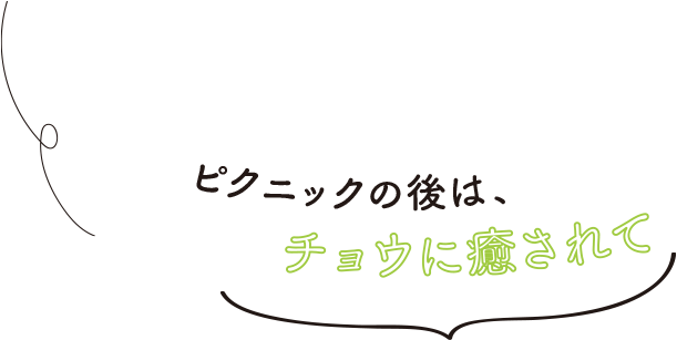 ピクニックの後は、チョウに癒されて