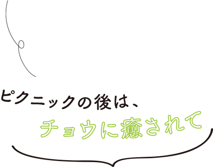 ピクニックの後は、チョウに癒されて