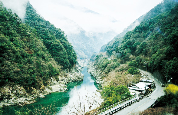 小歩危峡の壮大な眺め