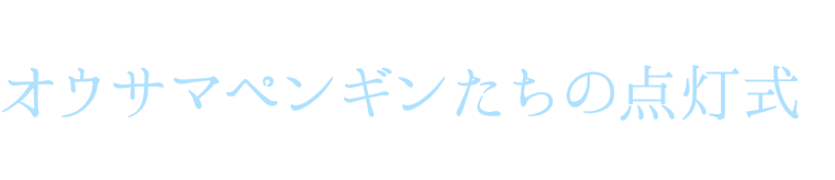 かわいいコたちが点灯の瞬間を盛り上げる！オウサマペンギンたちの点灯式＠海遊館前イベント広場