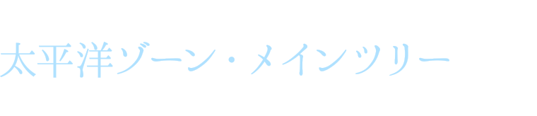 ベルの音が鳴り響くジンベエザメのツリーへ 太平洋ゾーン・メインツリー＠海遊館前イベント広場