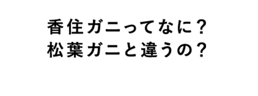 香住ガニってなに？松葉ガニと違うの？