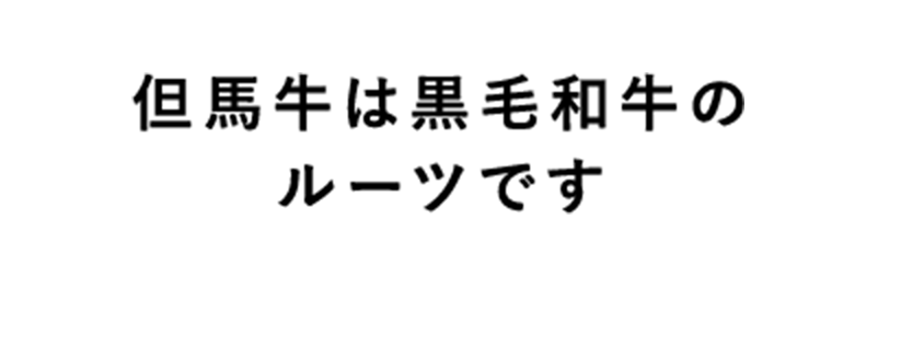 但馬牛は黒毛和牛のルーツです