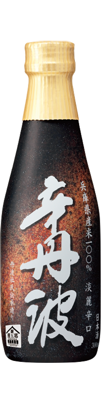 上撰 辛丹波