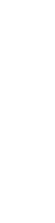 独自のブランド鶏を稀少部位まで堪能。