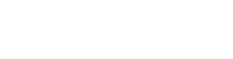 博多名物・水炊きは独り占めも嬉しい。