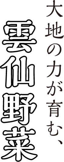 大地の力が育む、雲仙野菜