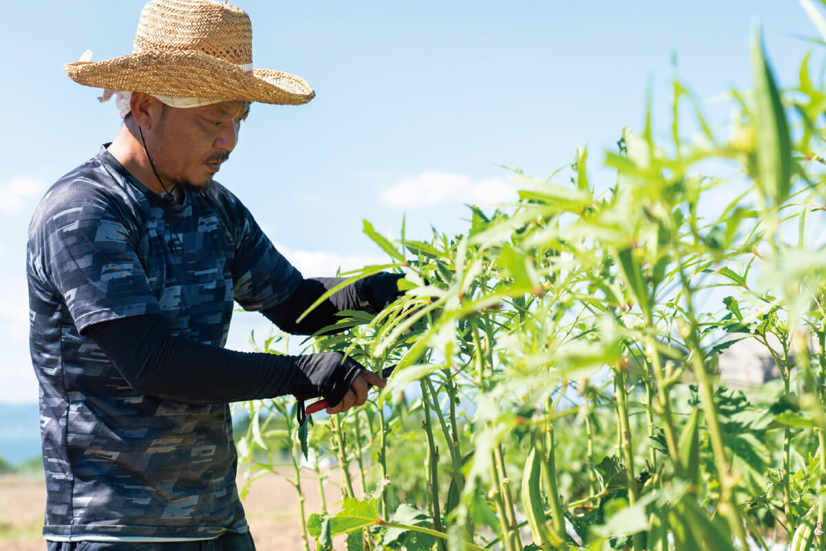 雲仙つむら農園