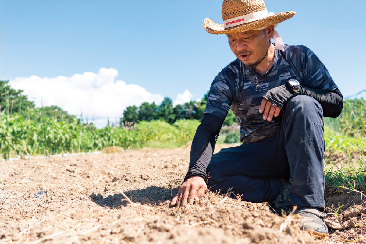 雲仙つむら農園