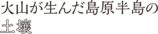 火山が生んだ島原半島の土壌