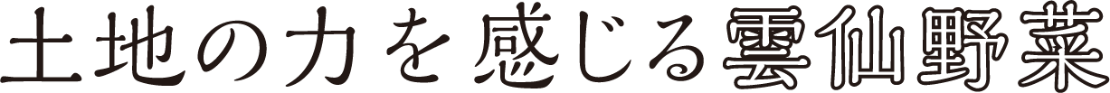 土地の力を感じる雲仙野菜