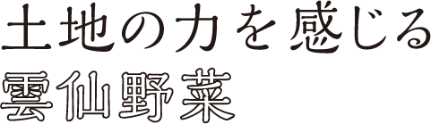 土地の力を感じる雲仙野菜