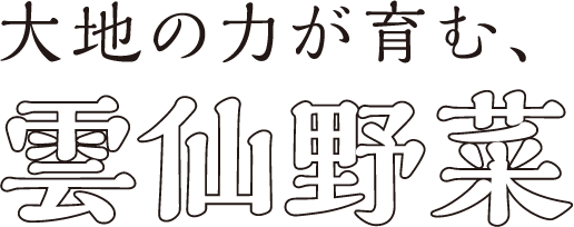 大地の力が育む、雲仙野菜