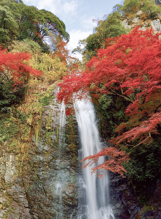 明治の森箕面国定公園（箕面大滝） Meiji no Mori Minoh Quasi-National Park (Minoh Waterfall)