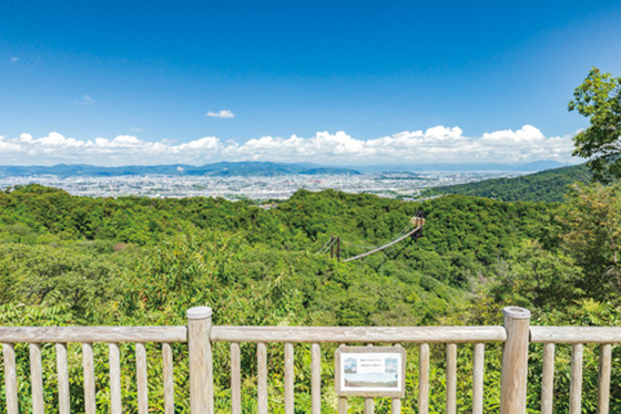 大阪府民の森 ほしだ園地 Forest of Osaka Pref. Residents Hoshida-Enchi Park