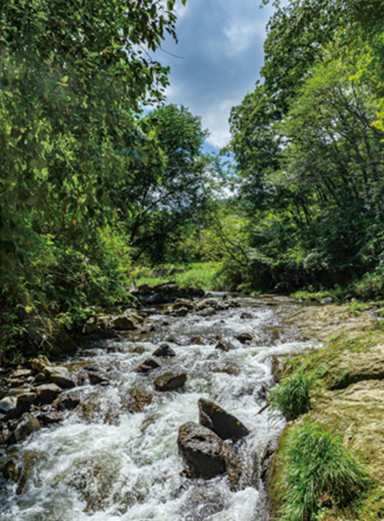 磐船渓谷 Iwafune Valley