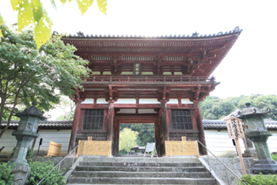 天野山金剛寺 Amanosan Kongoji