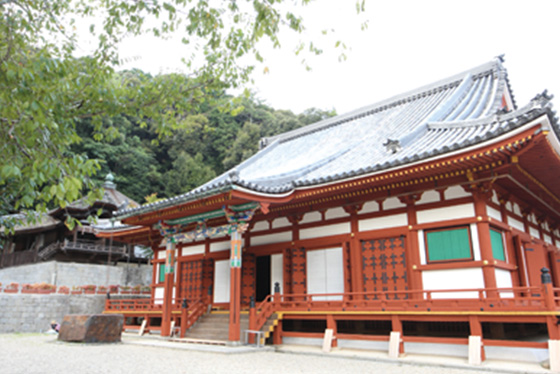 天野山金剛寺 Amanosan Kongoji