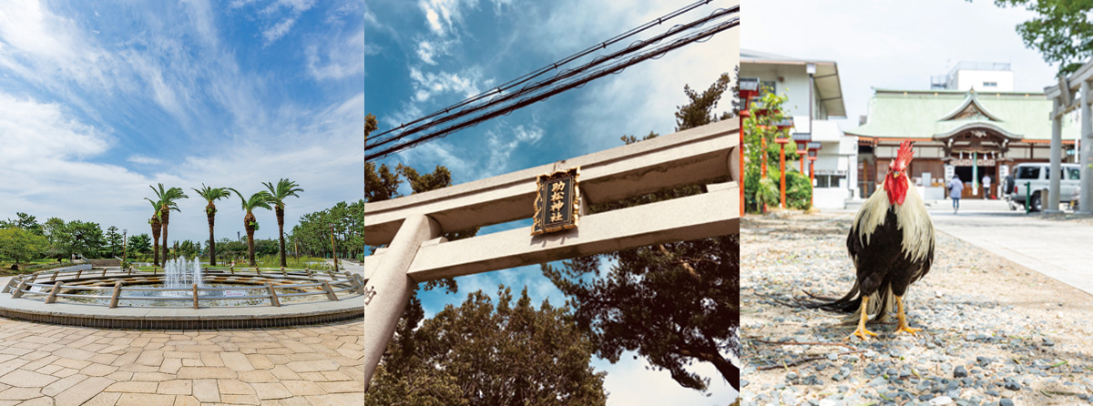 堺では浜寺公園や助松神社、泉南では樽井サザンビーチなどの景観が楽しめる。