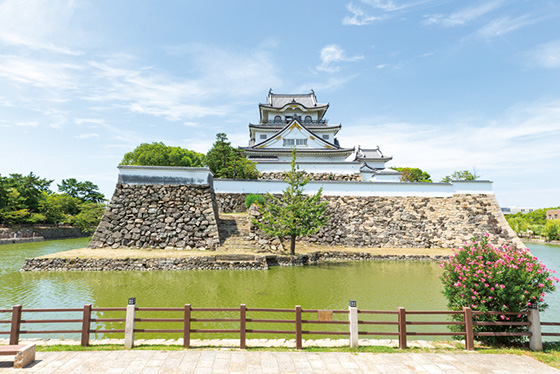 岸和田城 Kishiwada Castle