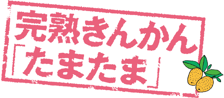 完熟きんかん「たまたま」