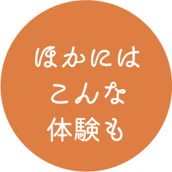 ほかにはこんな体験も