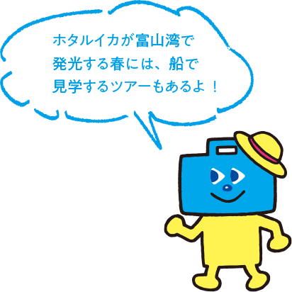 ホタルイカが富山湾で発光する春には、船で見学するツアーもあるよ!