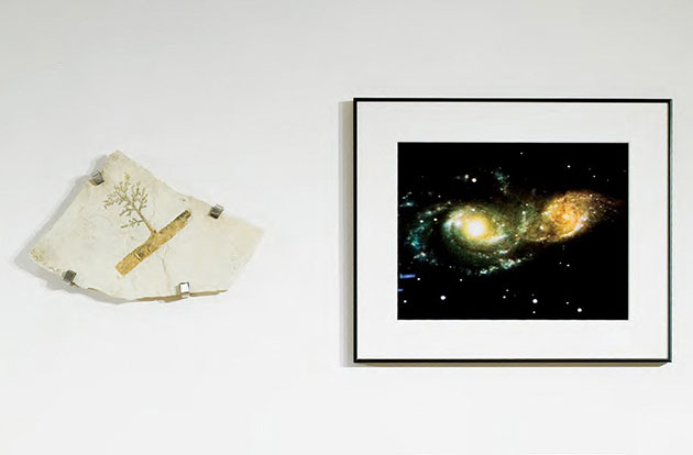 野村仁《Plagiophyllum & NGC 2207+IC 2163(1.63億光年)》2002-2006 Courtesy of NAOJ ※参考作品(撮影:豊永政史)
