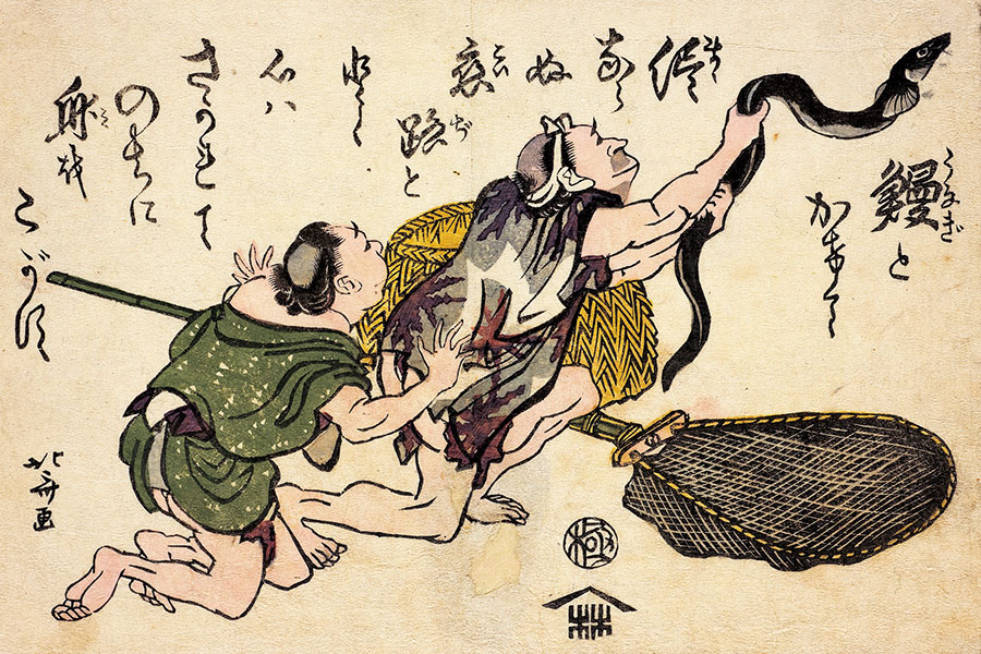 1800年代末 デントン 魚 多色石版画 5枚 アンティーク博物画