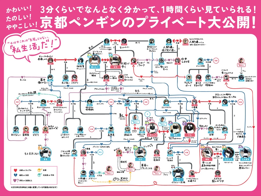 攻める京都水族館 ブッ飛んだ企画の数々 Lmaga Jp