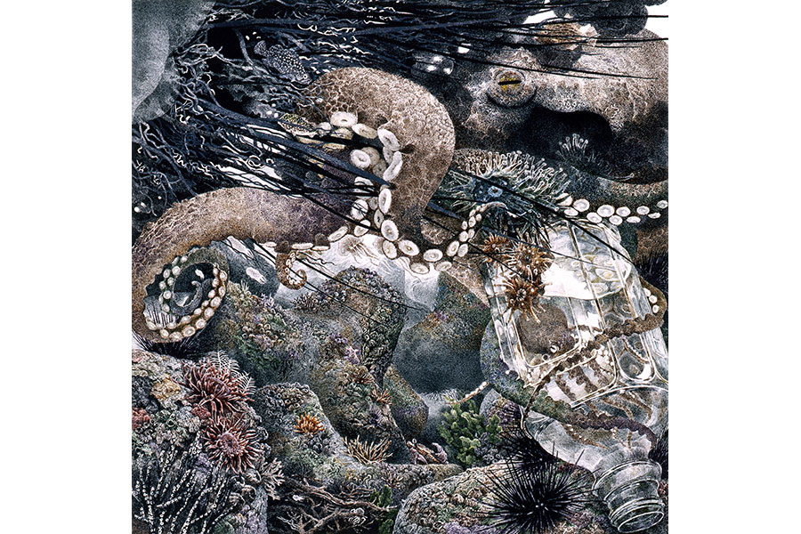 池田学『蛸』2004 © IKEDA Manabu, Courtesy Mizuma Art Gallery