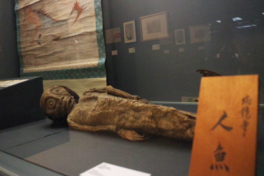 江戸時代に見世物小屋に登場したという人魚のミイラ像