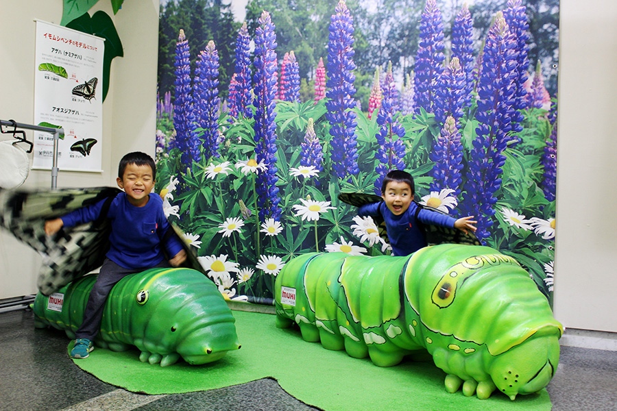 イモムシから一気にチョウに！　加古川市から訪れた３歳と５歳の男の子たち