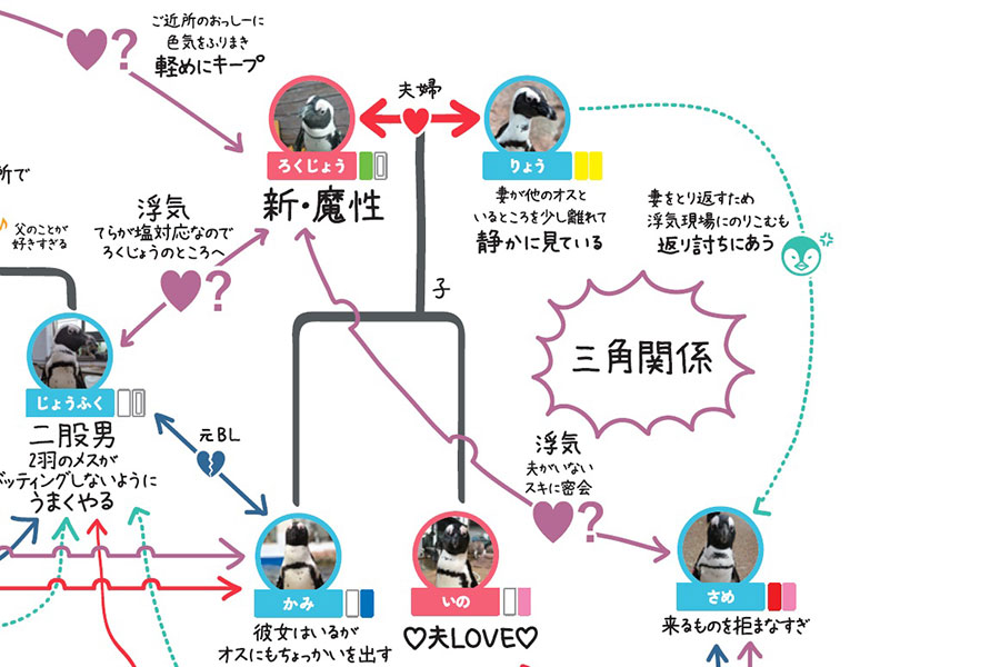 新たな魔性の女も出現 京都水族館 ペンギン相関図 が一新 Lmaga Jp