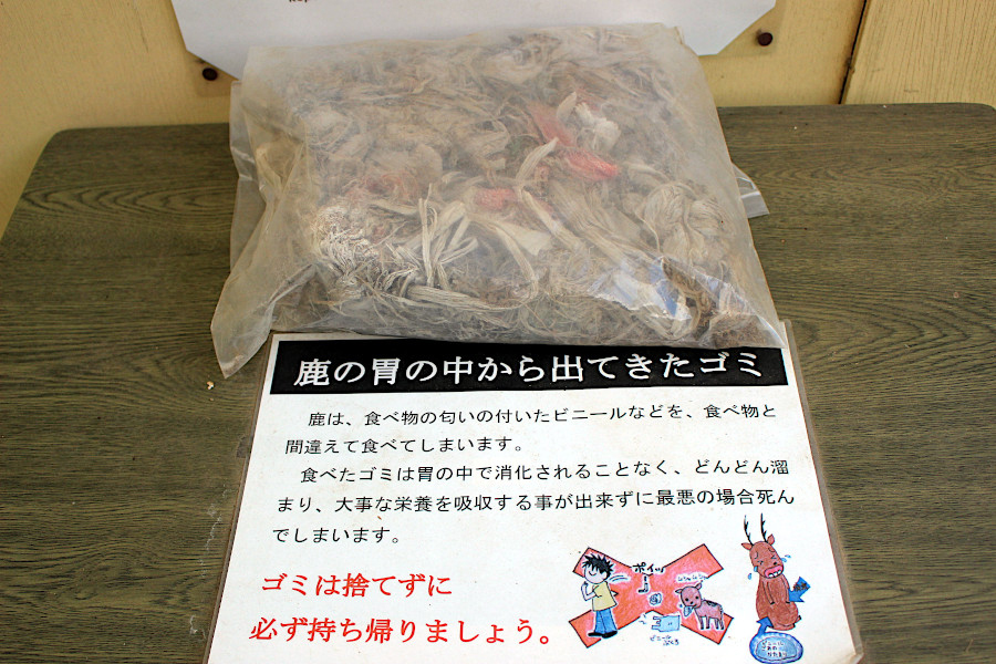 奈良公園の鹿の胃の中から出てきたゴミ（奈良の鹿愛護会施設内にて撮影）
