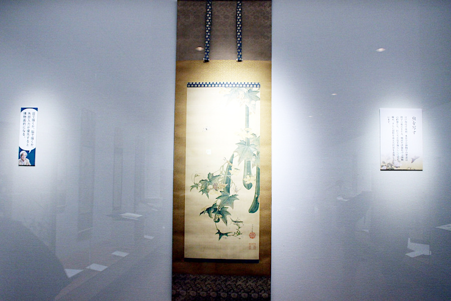 伊藤若冲の「糸瓜群虫図」江戸中期　11匹の虫が写実的に描かれている