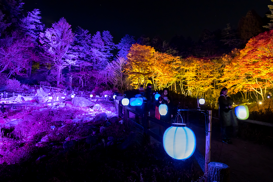 髙橋匡太《Glow with Night Garden Project in Rokko 提灯行列ランドスケープ》2020年 六甲高山植物園