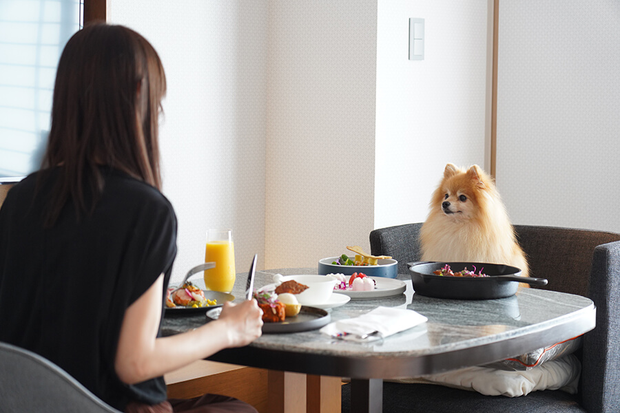 ルームサービスで愛犬と食事が楽しめる「ヒルトン名古屋」