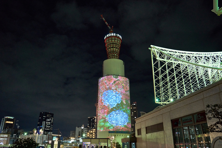 神戸市民の花「アジサイ」を投影したプロジェクションマッピング