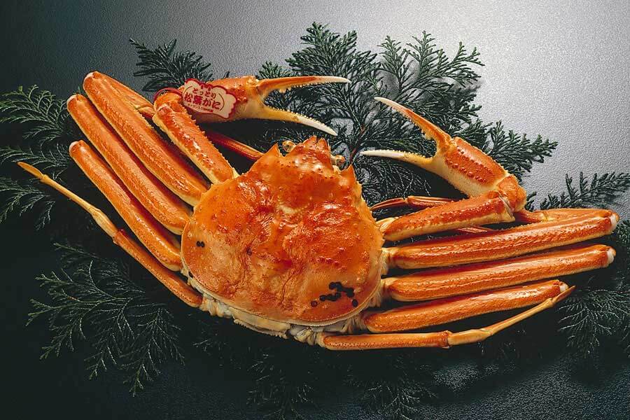 とっとり松葉がに
