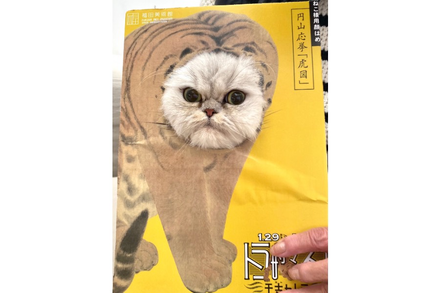 猫様用」の顔はめパネルが美術館に、ＳＮＳでも投稿続々 » Lmaga.jp