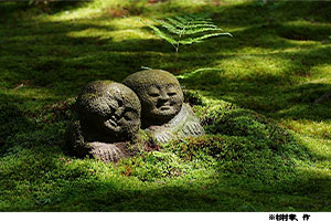 知ってる？ 京都の穴場スポットが「雨の日絶景」ランクイン