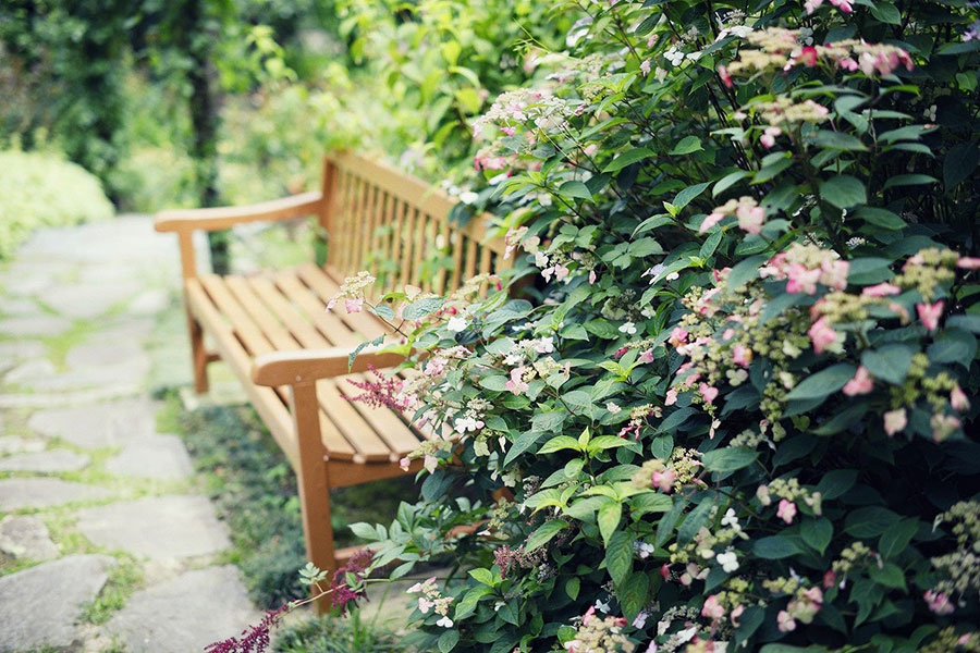 「神戸布引ハーブ園」の四季の庭に咲くあじさい