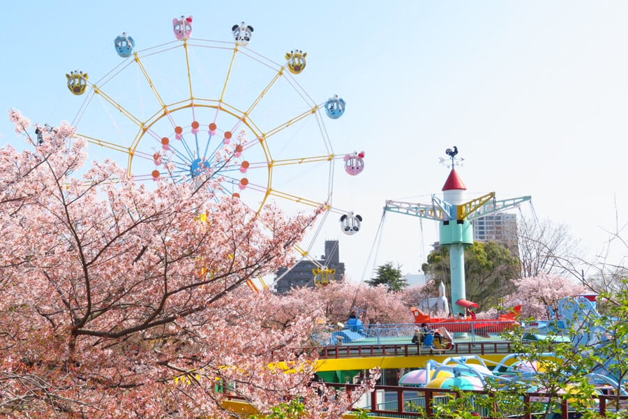 レトロ遊園地、桜との共演はいっそう美しい（撮影：2022年4月）